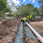 Progresos en el Gándara